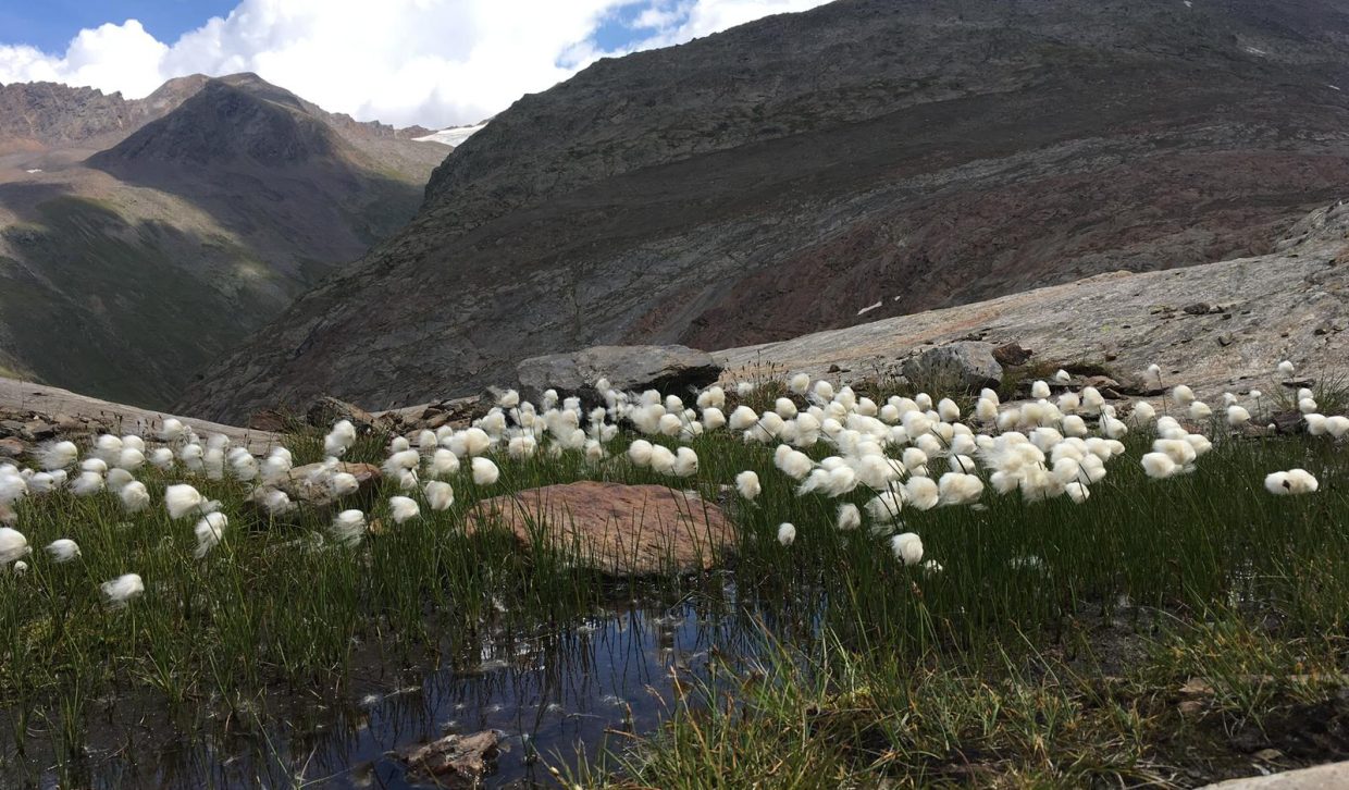 0e0da084-6468-4eee-b172-b7e0adbb68be