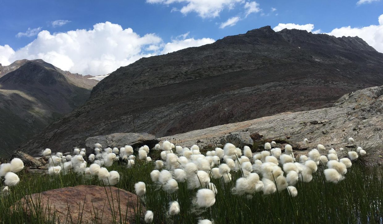 210bf6c2-aef0-4e84-90d1-0e28d9ce007c