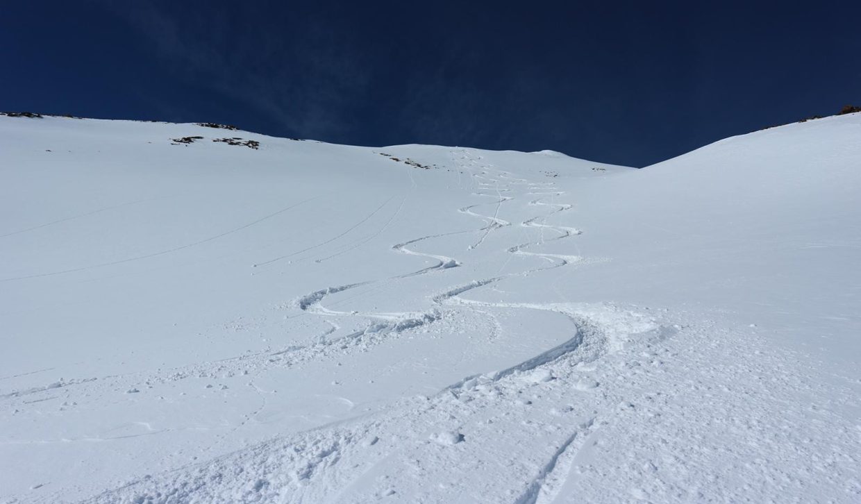 66e8a018-0155-48da-b0b3-27f3647aed4f